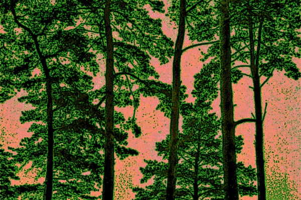 Фотовыставка В.Фролова "Пейзажи Мещеры"