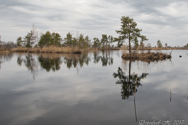 Красоты парка "Мещёра"