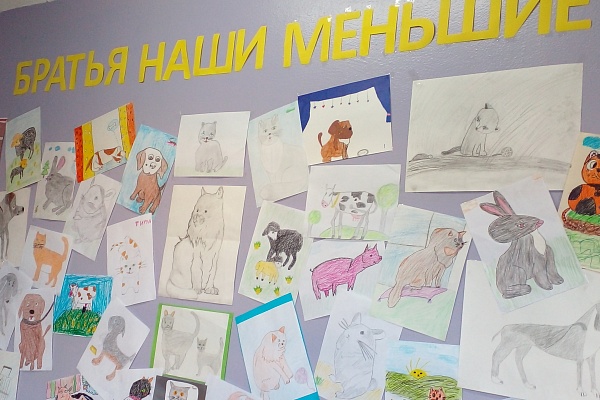 Волонтерская акция "Не проходите мимо"