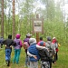Весенние сюрпризы для внимательных