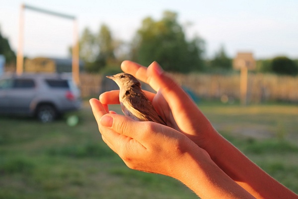 Деятельность по экологическому просвещению