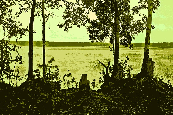 Фотовыставка В.Фролова "Пейзажи Мещеры"