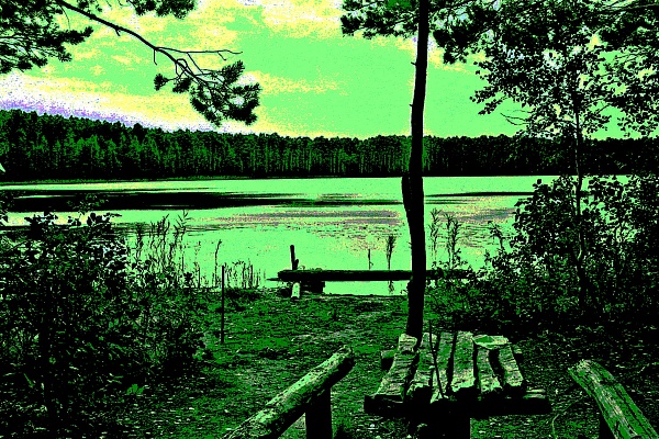 Фотовыставка В.Фролова "Пейзажи Мещеры"