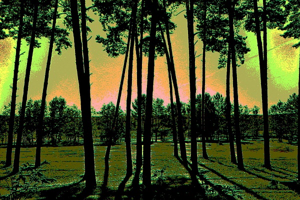 Фотовыставка В.Фролова "Пейзажи Мещеры"