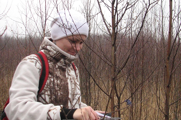 Измерение прироста деревьев