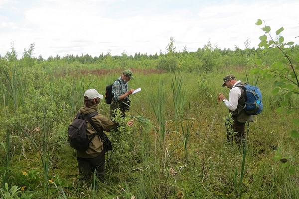 Изучение болот