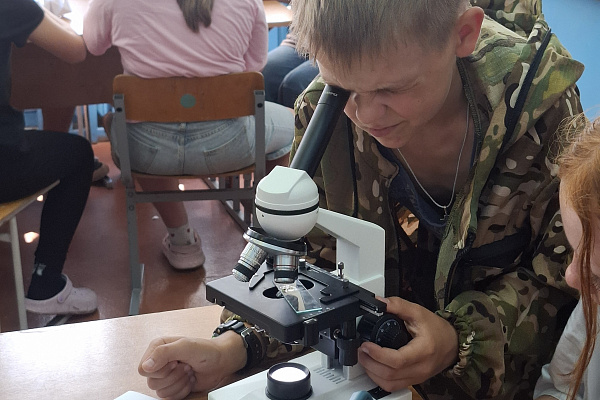 Таинственный мир водоема