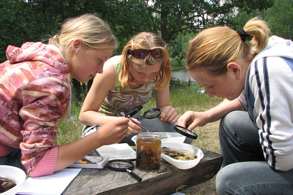Деятельность по экологическому просвещению
