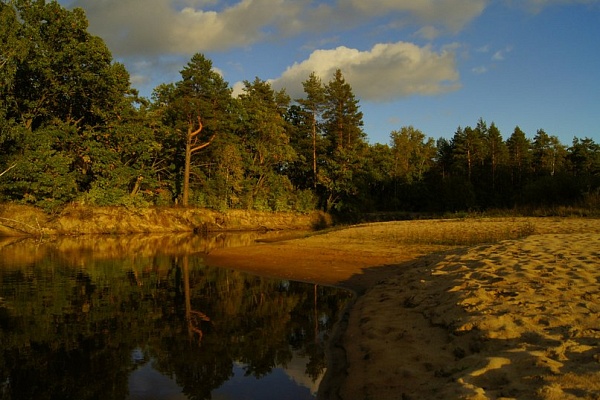Красоты парка "Мещёра"