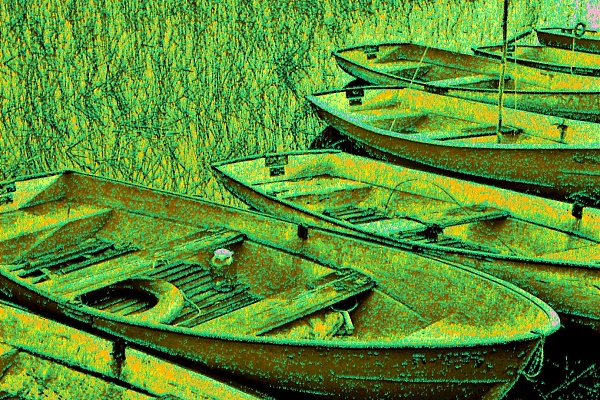 Фотовыставка В.Фролова "Пейзажи Мещеры"