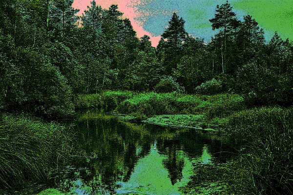 Фотовыставка В.Фролова "Пейзажи Мещеры"