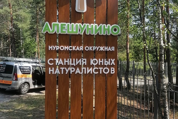 Таинственный мир водоема