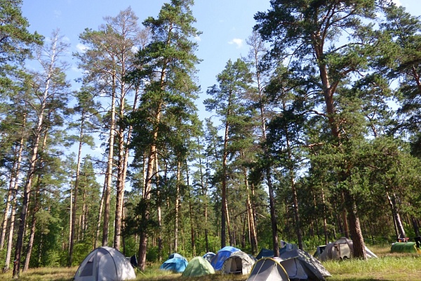 Деятельность по экологическому просвещению